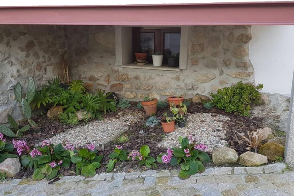 Moimenta da Serra Casa Bento Moura Portugalヴィラ エクステリア 写真