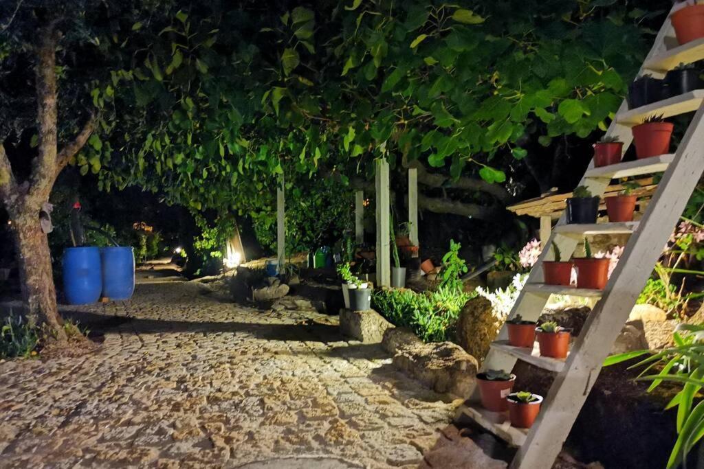 Moimenta da Serra Casa Bento Moura Portugalヴィラ エクステリア 写真