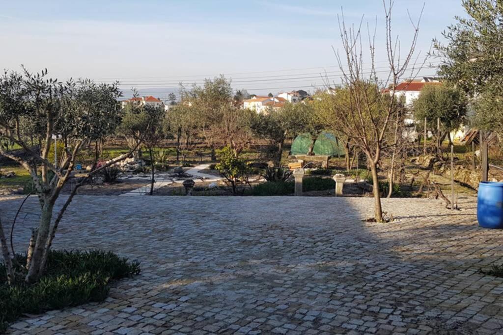 Moimenta da Serra Casa Bento Moura Portugalヴィラ エクステリア 写真